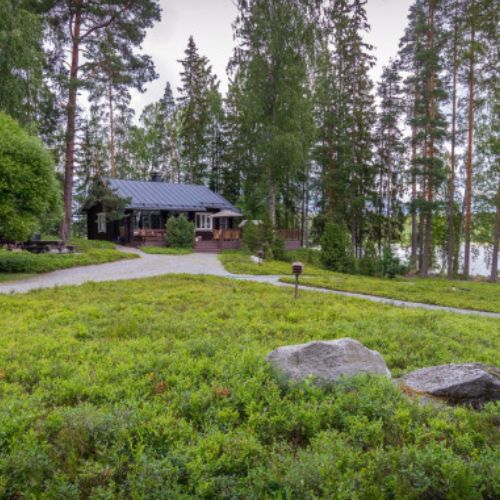 Siirtonurmi ja nurmikon hoito