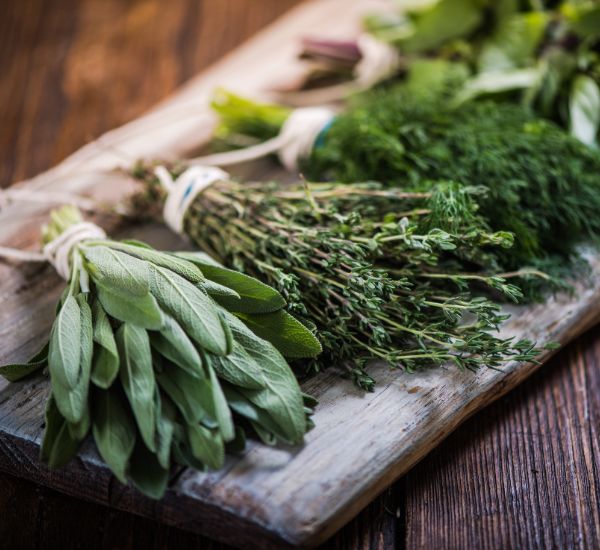 Tuoreet yrtit sisällä valmiina käyttöön