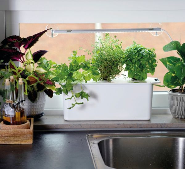 Nelson Garden Harvy3 vesiviljelylaatikko