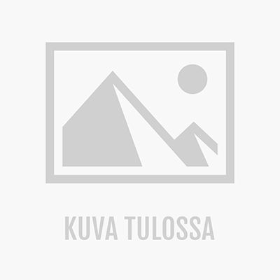 Pihakauden Tammistossa